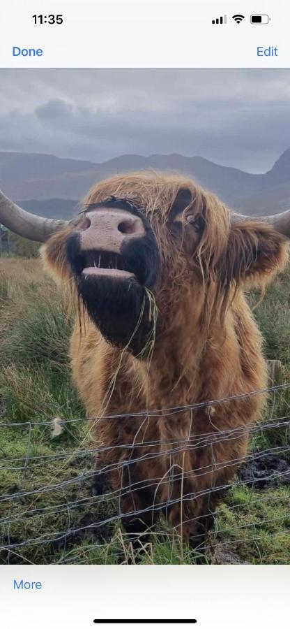 Ben Nevis Manor Lodge Fort William Buitenkant foto